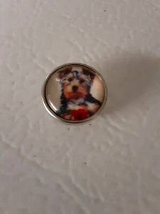 Yorkie Welpe mit Rose - passt ChunkGingerNoosa Schnapparmbändern. Kostenloser Versand - Bild 1 von 1