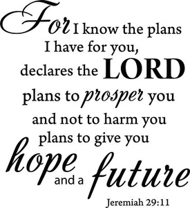 Jeremiah 29:11 Quotes Sayings Words Art Decor Lettering Vinyl Wall Bible Verse - Picture 1 of 16