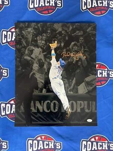 David Wright Autographed 16x20 Custom Spotlight Dive into Stands Photo (JSA) - Picture 1 of 1