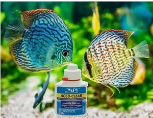 API Accu-Clear 1,25oz Süßwasser Aquarium Klärer reinigt trübes Wasser - Bild 1 von 6