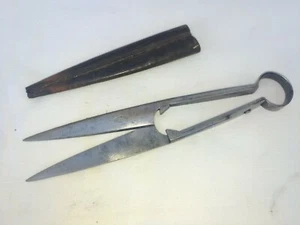  FORCETTE OU FORCE DE MAQUIGNON - Picture 1 of 2