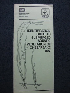 Identification Guide to Submerged Aquatic Vegetation of Chesapeake Bay [Pamphlet - Picture 1 of 5