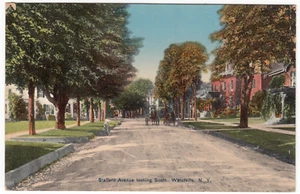 Waterville, New York ~ Stafford Ave looking South ~ Vintage Postcard - Picture 1 of 2