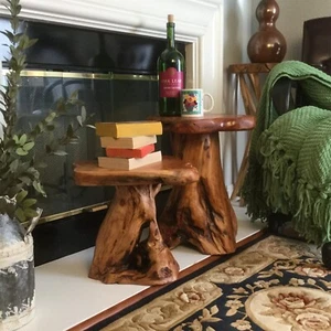 Natural Irregular Shape Tree Stump End Table Plant Stand, 14"x13"x18"H - Picture 1 of 40