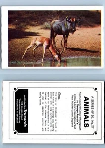 Gnu #27 Animals 1972 Trucards - Picture 1 of 2