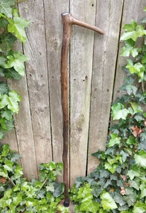 38" - Hand Carved - Finished - Natural Cane Handle - Aspen - Walking Stick - #48 - Picture 1 of 10