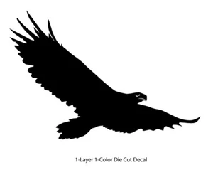 Wildlife / Birds - Eagle 1 Soaring Flying 6Yrs Film Outdoor Decal Vinyl Sticker - Picture 1 of 12