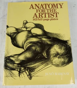 Anatomy For The Artist (Hardcover 1994) 10" x 13" Barnes & Nobles Jeno Barcsay - Bild 1 von 10