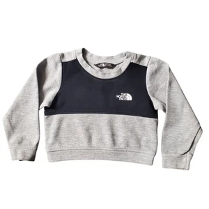 The North Face Kids Sweater Size 2 Gray Graphic Logo Pullover Sweatshirt - Picture 1 of 8