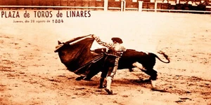 Bullfighting Vintage Poster #5 - Canvas Art Poster 12"x 24 - Picture 1 of 1