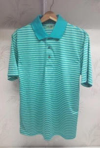 BEN HOGAN Performance Men's sz M Green Striped Golf Polo Shirt - Picture 1 of 6
