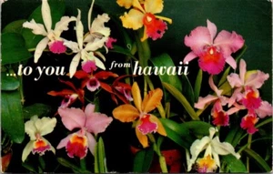 Postcard To You From Hawaii, Orchids, HI - Picture 1 of 2