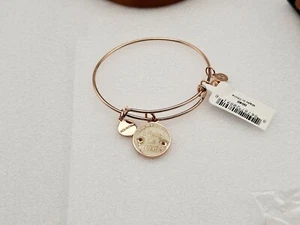 New ALEX & ANI Rose Gold Thanks For Helping Me Grow " Flower Charm Bracelet ๐ - Picture 1 of 18
