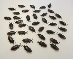 12 REALISTIC FAKE COCKROACHES LARGE CREEPY COCK ROACH BUGS PRANK GAG GIFT - Picture 1 of 6