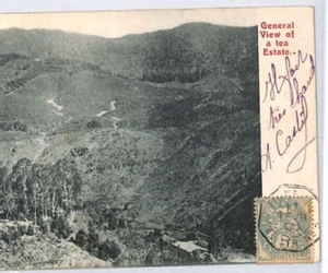 CEYLON Postcard TEA ESTATE PPC France PAQUEBOT *LIGNE N* Marseilles 1905 PJ162 - Picture 1 of 10