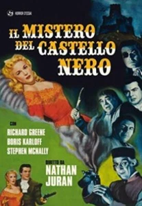 Il Mistero Del Castello Nero Richard Greene 2013 DVD Top Qualität - Bild 1 von 7