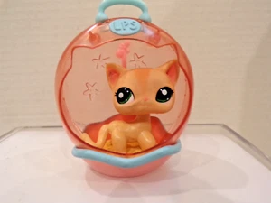 Littlest Pet Shop~#1764~Gatto~Camminata~Striscia Arancione~Occhi Verdi~Scatola di Sabbia e Scooper - Foto 1 di 5