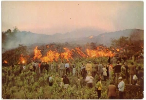 NICOLOSI - CATANIA - AUSBRUCHBARER ÄTNA - - Bild 1 von 1