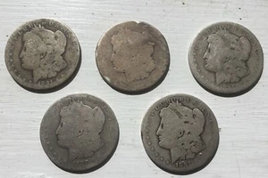 5 Coin Morgan Dollar Lot Cull Slick 90% Silver $5 Face $1 AW - Picture 1 of 12