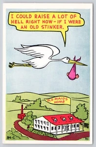 Tarjeta postal Stork Baby Old Maids Home Humor Baxter Lane - Imagen 1 de 2