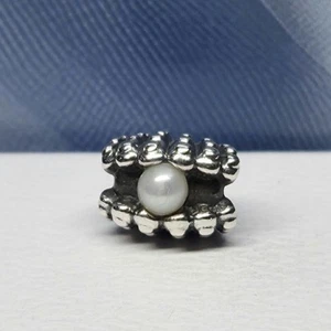 Original Pandora Muschel Mit Perle 7901134P #83 - Bild 1 von 2
