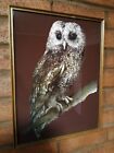 Vintage Pencricket Fine Art Company Owl Foil Art Picture