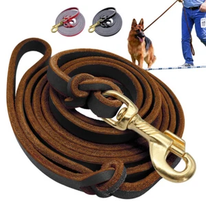 Leather Slip Leads for Dogs Braided Pet Training Show Leashes Black Brown Red - Picture 1 of 15