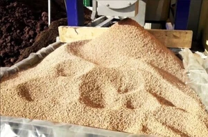 NOCCIOLINO DI SANSA VERGINE 100% ITA ALTERNATIVA AL PELLET PER STUFA, CALDAIA. - Foto 1 di 8
