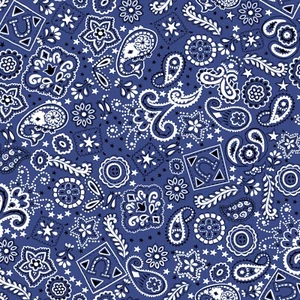 Fabric Western Blue Bandana Paisley Flannel 1/4 yard 446401 - Picture 1 of 5
