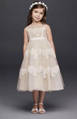 Vestido David’s Novia Encaje Ilusión Niña Flor MARFIL/CHAMPÁN Talla 5 Foto 1 de 4