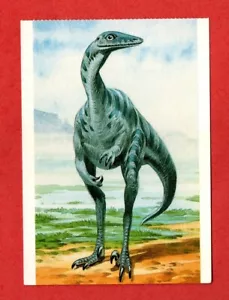 Troodon Dinosaur postcard ancient animal art (A) - Bild 1 von 2