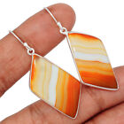 Lake Superior Agate 925 Sterling Silver Earrings Jewelry CE31643