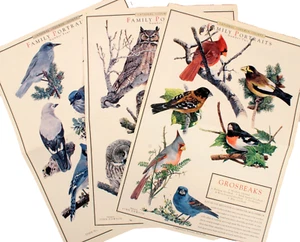 Audubon Society Family Portraits Grosbeaks Owls Jays 1990 Lot of 3 - Picture 1 of 7