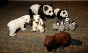 Schleich lot Polar and panda bears beaver penguin - Picture 1 of 4