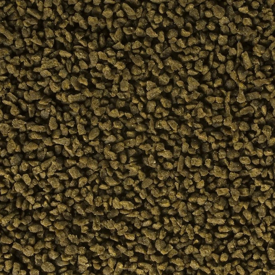 Mangime granulare alla spirulina per pesci tropicali e d'acqua fredda, 100g!!! - Bild 1 von 1