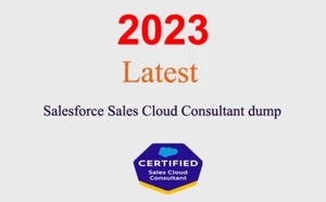 Dump Salesforce Sales Cloud Consultant GARANTI (mise à jour 1 mois) - Photo 1/1