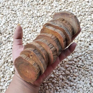 9 durchscheinende Raja Kayu Platten Borneo Agathis Alba Scheiben Drachenblut Holz #15 - Bild 1 von 14