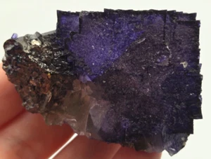 +++ FLUORITE, SPHALERITE ELMWOOD MINE, CARTHAGE SMITH COUNTY, TENNESSEE +++ - Picture 1 of 7
