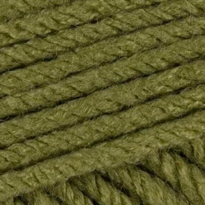 Estambre De Tejer Stylecraft Special CHUNKY 100g - 1065 Meadow - Imagen 1 de 1