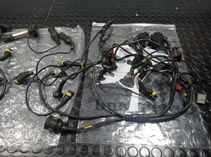 Ducati 999 749 Superstock Racing Electrical System Wiring - Picture 1 of 10