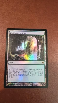 Verdant Catacombs Zendikar Foil Japanese Lightly Played Magic The Gathering MTG - Image 1 of 3