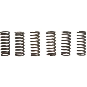 Ducati clutch spring Set Multistrada 1000 Hypermotard 1100 EVO SP Sport MH900e - Picture 1 of 1