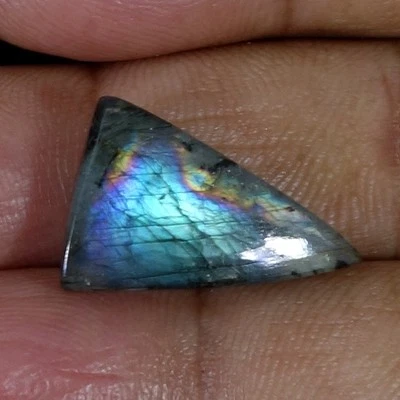 12.90 Ct Bright Multi Fire Spectro lite Labradorite Trillion Cab Loose Gemstone - Image 1 of 4