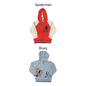Character Boys Soft Fleece Full Zip Side Pockets Embroidered Details Hoodie - Picture 1 of 9