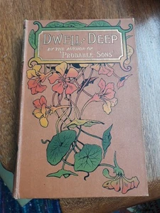 1897 Dwell Deep - Amy le Feuvre First Edition Illustrated Children's HARDBACK - Picture 1 of 8