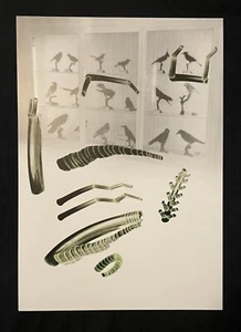 Eva-Maria Schön, vocabulario manual, impresión de luz, 1998, firmado a mano y fechado - Imagen 1 de 1