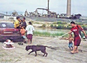 Jerome Sessini  Magnum Fotograf  Photo Foto Ciudad Juarez Mexico - Picture 1 of 3