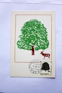 FDC SAN MARINO AESCULUS HIPPOCASTANUM 1979 (F3684) - Picture 1 of 1