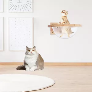 Set Casa Albero Arrampicata Gatto Parete Capsula Spaziale Scaffali Gatti Gioco Grotta - Foto 1 di 11