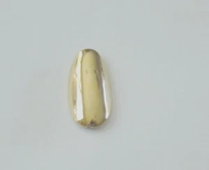 $10 TRADITIONAL LIFETIME 14KT GOLD PLATED PLAIN LARGE REUSABLE FINGERNAIL - Picture 1 of 1